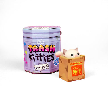 TRASH KITTIES MYSTERY BOX SERIES 3 BY 100% SOFT